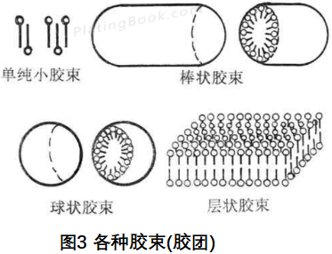 形状、大小不一的胶束或胶团