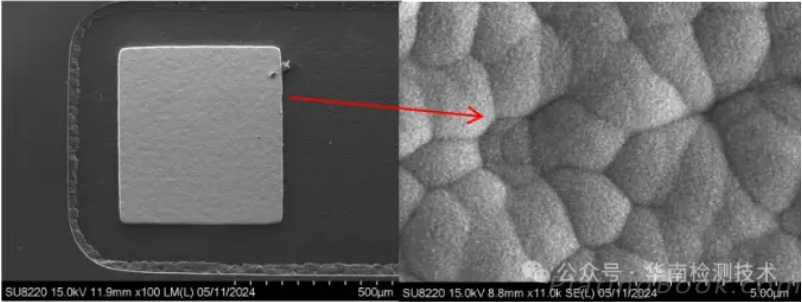 OK品Pad SEM形貌图 OK品Pad SEM形貌图