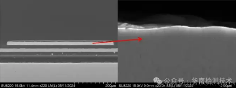 OK品Pad纵向切片图 OK品Pad纵向切片图