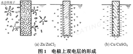 电极上双电层的形成示意图 电极上双电层的形成示意图